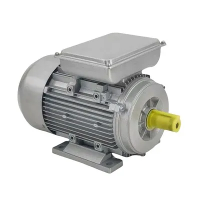 2 Poles Dual Capacitors 1 Phase Motor Fan Motor